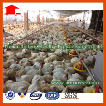 Pan Feeding System for Poultry Farming